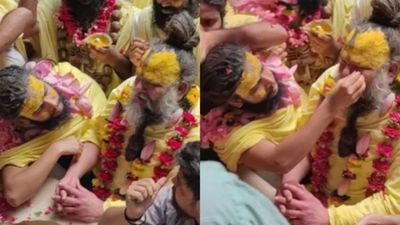Premanand Maharaj not get VIP darshan at Banke Bihari temple, tired after standing in crowd, Watch video