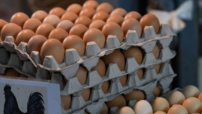 UP में अलर्ट! संडे हो या मंडे अब नहीं मिलेंगे एक्सपायरी अंडे, 1 अप्रैल से लागू होगा ये सख्त नियम