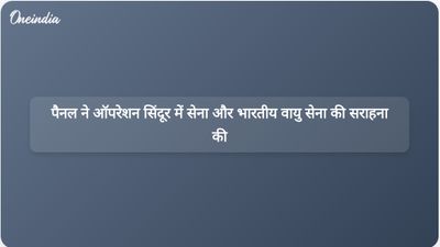 संसदीय समिति ने ऑपरेशन सिंदूर में भारतीय सेना और वायु सेना की भूमिका की सराहना की।
