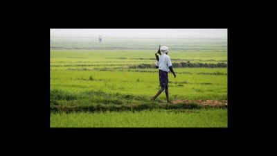 Bihar News:  अधिकारियों की फिटनेस से सुदृढ़ होगा प्रशासन, 150 कृषि पदाधिकारियों ने लिया विशेष साहसिक प्रशिक्षण