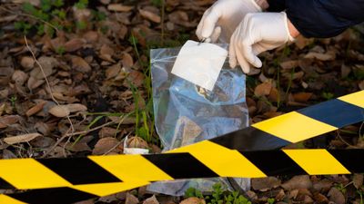 श्रद्धा वॉकर केस जैसी वारदात से दहली दिल्ली! प्रेमिका की हत्या कर लाश बिस्तर के अंदर ठूंसी, कैसे हुआ खुलासा?