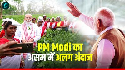 PM Modi Assam Rally: असम के चाय बागान में दिखा पीएम का अलग अंदाज, कांग्रेस और घुसपैठियों को दी सख्त चेतावनी
