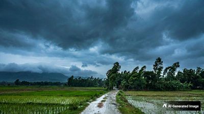 Bihar Weather: पटना समेत 20 जिलों में आंधी-बारिश का येलो अलर्ट, IMD ने अगले 5 दिनों के लिए जारी की चेतावनी