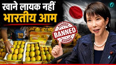 Indian Mangoes Ban In Japan: संकट में अल्फांसो-केसर आम, जापान ने लगाया बैन, 20 साल बाद क्वालिटी पर उठे सवाल