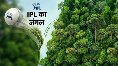 600000 से ज्यादा पेड़ों से IPL ग्रीन डॉट बॉल का कमाल, किस राज्य में लगे सर्वाधिक पौधे? यहां देखें पूरी लिस्ट