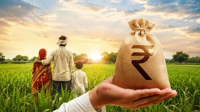 राजस्थान के किसानों के लिए बड़ी खुशखबरी! फसल बीमा क्लेम के नियम बदले, अब नहीं काटने होंगे अदालतों के चक्कर