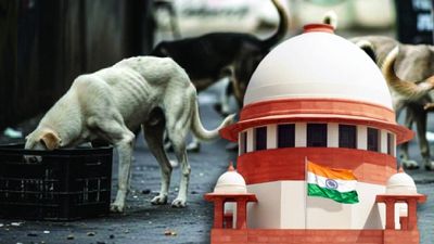 Punjab Stray Dogs Row: पंजाब में आवारा कुत्तों पर एक्शन के खिलाफ सोनू सूद, कहा- बेजुबानों की भी जान है