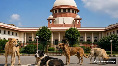 Dog Lovers को सुप्रीम कोर्ट का झटका, स्कूल-हॉस्पिटल पब्लिक प्लेस से हटेंगे आवारा कुत्ते, SC ने कहा-सख्ती जरूरी