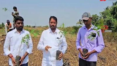 78 हजार वोटों की जीत…अब उतने ही पेड़ लगाने का संकल्प, विधायक सुहास बाबर की अनोखी पहल