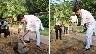 केंद्रीय मंत्री ज्योतिरादित्य सिंधिया ने 'एक पेड़ माँ के नाम' अभियान के तहत लगाया पलाश का पौधा 