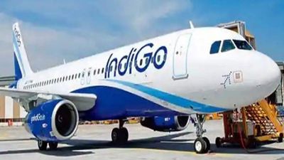 Lucknow Airport पर तहलका! फ्लाइट के बाथरूम में 'बम'? दूसरी तरफ 'कॉकरोच' का प्रदर्शन-पूरी टाइमलाइन