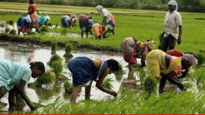 महाराष्ट्र के अन्नदाताओं के लिए बड़ी सौगात! फडणवीस सरकार ने 2 लाख रुपये तक का किसानों का कर्ज किया माफ