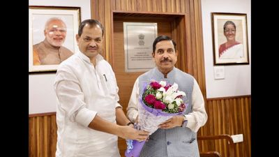 Bihar News: हरित ऊर्जा परियोजनाओं को गति देने के लिए बिहार ने केंद्र से मांगा सहयोग