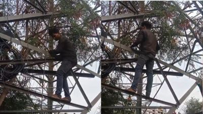 Haryana News: 'बसंती' के लिए 'वीरू' बना युवक! 72 फीट ऊंचे बिजली टावर पर चढ़ा, 5 घंटे चला हाई वोल्टेज ड्रामा