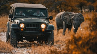 Lucknow में बनेगा देश का पहला अर्बन Night Safari, कुकरैल प्रोजेक्ट में ₹1500 करोड़ खर्च, क्या-क्या होगा खास?