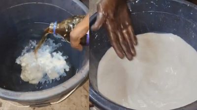 Fake Milk Video: पानी में डाला सफेद लिक्विड और बन गया हूबहू दूध! वायरल वीडियो से हड़कंप, जांच की उठी मांग