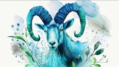 आज का मकर राशिफल, 14 फरवरी 2025, शुक्रवार - आप धैर्य से काम लेंगे!