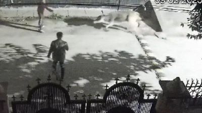 Gorakhpur News: गोरखपुर में बेखौफ हुए पशु तस्कर, पशुओं को ऐसे करते हैं गायब, देख उड़ जाएंगे होश, देखें Video