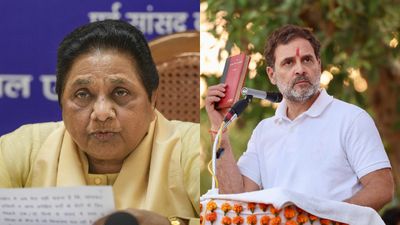 'बरगलाने वाली बात...दोहरा चरित्र', राहुल गांधी के आरोपों पर पलटवार, कांग्रेस पर क्यों भड़कीं मायावती?
