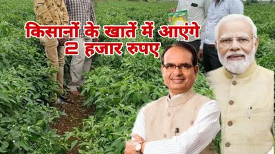 MP News: किसानों के खाते में कब आएंगे 2 हजार रुपए, किसान सम्मान निधि पर कृषि मंत्री शिवराज ने दी बड़ी जानकारी