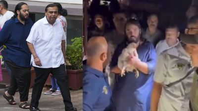Video: अनंत अंबानी का दिल छू लेने वाला कदम, कटने जा रही 250 मुर्गियों को दोगुना देकर बचाया, बताया क्या करेंगे?