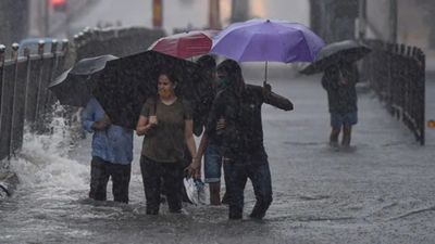 Weather Forecast: 'अल नीनो नहीं, बर्फबारी कम', इस साल कैसा रहेगा मानसून? IMD ने दी जानकारी