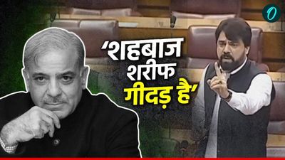 India Pakistan War: 'हमारा लीडर गीदड़ है, शेरों से मुकाबला नहीं कर सकते', शहबाज शरीफ पर भड़के पाकिस्तानी सांसद
