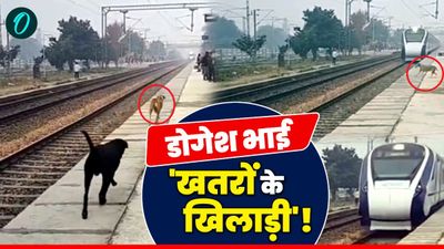 Dogesh Bhai Ki Speed VIDEO: डोगेश भाई की रफ्तार देख वंदे भारत भी हैरान, 160KM/H की तेजी से एक्सप्रेस को मात!