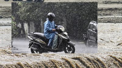 Maharashtra Weather: IMD का ऑरेंज और रेड अलर्ट, होगी भारी बारिश, इन जिलों के लिए जारी किया गया इमरजेंसी नंबर