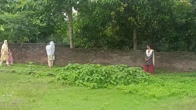 UP Weather News: आने वाले दिनों में कुछ ऐसा रहेगा मौसम का मिजाज, जानिए पूरा हाल