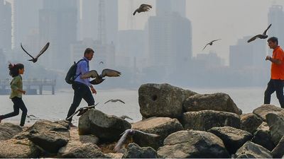 Mumbai weather: मुंबई में क्यों पड़ रही तेज गर्मी?  AQI 300 के पार, IMD ने जारी किया अलर्ट