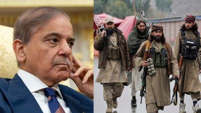 Pakistan Vs Taliban: 200 तालिबानी मारे गए या 58 पाकिस्तानी सैनिक? अफगानिस्तान ने क्यों रोका ऑपरेशन? 