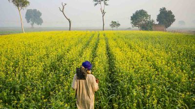 PM Kisan 21st Installment: बिहार इलेक्शन के बाद आएगी पीएम किसान की 21वीं किस्त? किसे नहीं मिलेंगे पैसे?