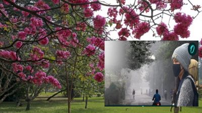 Bengaluru weather: बेंगलुरू में अचानक क्‍यों बढ़ गई ठंड? क्‍या होगी भारी बारिश? IMD ने जारी किया अलर्ट 