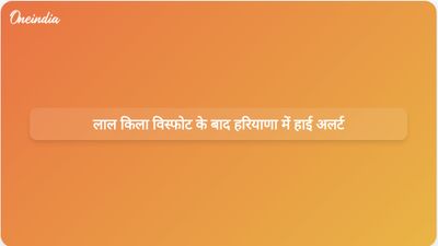 लाल किले में हुए घातक विस्फोट में आठ लोगों की मौत के बाद हरियाणा में हाई अलर्ट जारी