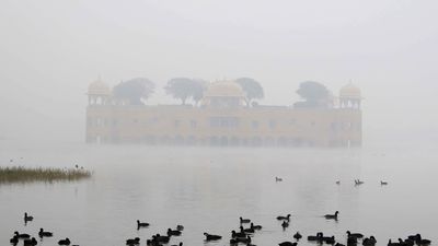 Rajasthan Weather Today: राजस्थान में IMD ने शीतलहर का जारी किया अलर्ट, तेजी से लुढ़का पारा