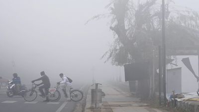 Rajasthan Weather Forecast: राजस्थान में कोहरे और शीतलहर का डबल अटैक, बारिश के अलर्ट ने और बढ़ाई टेंशन! 