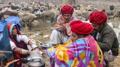 Rajasthan Weather Forecast: IMD का 8 जिलों के लिए येलो अलर्ट, बारिश और ठंड का डबल अटैक