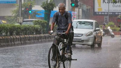 Delhi-NCR Weather Update: आज कड़ाके की ठंड के बीच कहां होगी बारिश? चेक करें दिल्ली-एनसीआर के मौसम का हाल