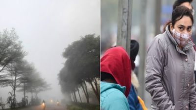 Maharashtra Weather: कई इलाकों में पड़ रही शिमला जैसी ठंड, IMD का 7 जिलों में ऐलो अलर्ट, मुंबई का जानें हाल 