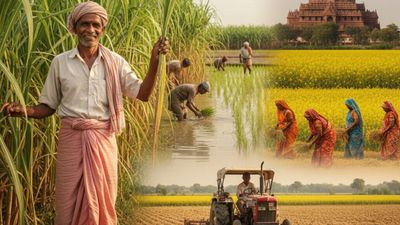 Bihar News: बिहार में इस फसल की खेती पर मिलेगी ₹72,750 की सब्सिडी, जानिए कैसे ले सकते हैं योजना का लाभ?