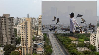 Mumbai Weather: मुंबई में सुबह का मौसम हुआ सर्द, क्या होगी बारिश? IMD ने जारी किया अलर्ट