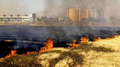 UP में पराली जलाने के मामले 18% बढ़े! 7,290 आग की घटनाओं ने बढ़ाई NCR में 'स्मॉग इमरजेंसी' की आशंका