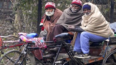 Rajasthan Weather Today: भीषण शीतलहर और कोहरे का कहर, शेखावाटी में पारा माइनस में पहुंचा