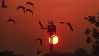 Delhi-NCR Weather: मार्च से पहले ही जून वाली तपिश! दिल्ली में कब होगी बारिश? अगले 5 दिनों के लिए IMD का अलर्ट!