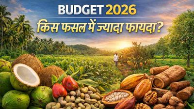 Crop Support Budget 2026: इस फसल की खेती करने वालों की लगी लॉटरी, सरकार के इस प्लान से होगी लाखों में कमाई!