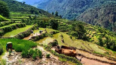 Dehradun में मुस्लिम संस्थान जमीन विवाद पर BJP MLA ने सीएम धामी से की शिकायत, कांग्रेस ने भी कही ये बात