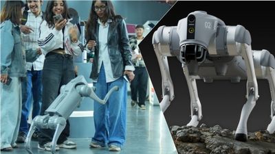 'Galgotias का लाइसेंस रद्द हो', AI समिट में चीनी Robotic Dog दिखा यूनिवर्सिटी ने पिटवाई भद्द,चौतरफा हुई थू-थू