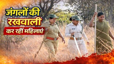 womens Day: कान्हा टाइगर रिजर्व में महिलाएं बनीं ‘ग्रीन सोल्जर्स’, जंगल और वन्यजीवों की संभाल रही जिम्मेदारी
