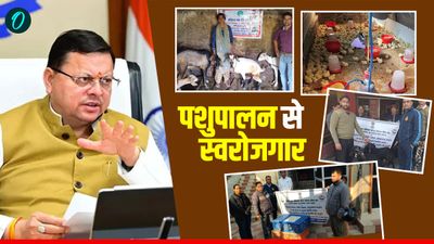 धामी सरकार की पशुपालन योजनाओं से ग्रामीणों को कैसे मिल रहा स्वरोजगार, आर्थिकी और पलायन पर फोकस 